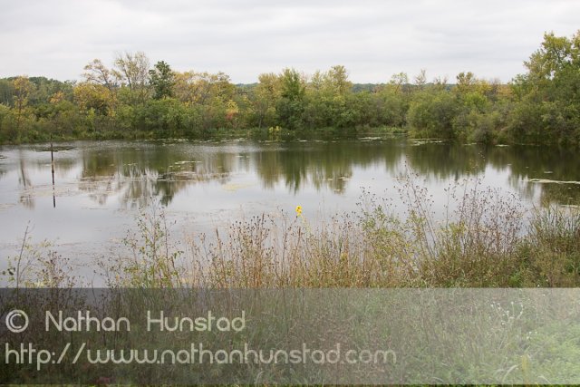 Pond_2008-09-27_IMG_2141